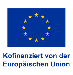 EU Logo
