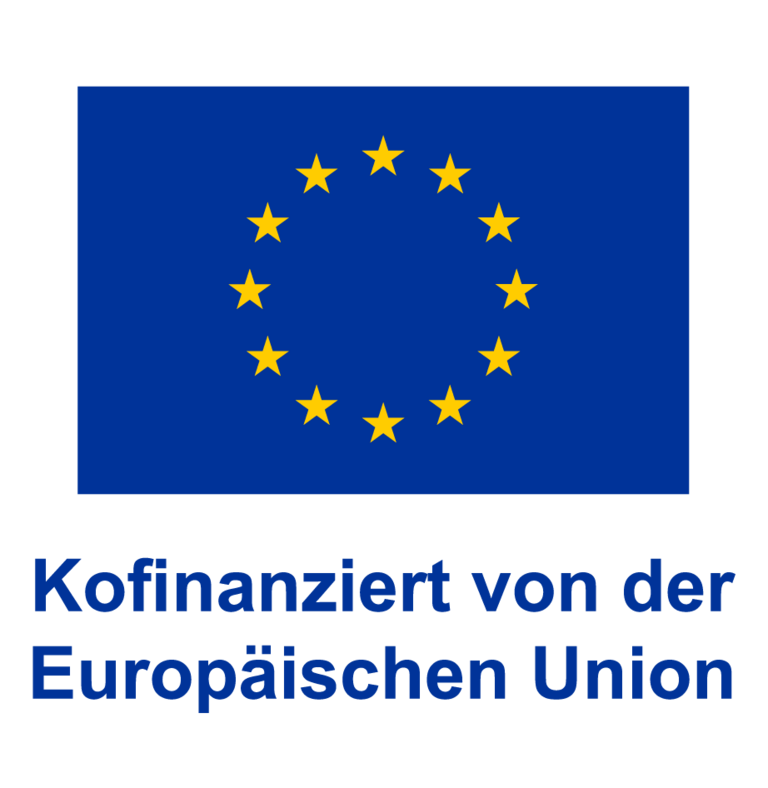 EU Logo