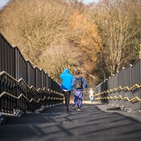 zwei junge Menschen vonhinten, die eine Treppe hinunter gehen